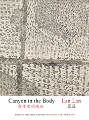 CANYON IN THE BODY